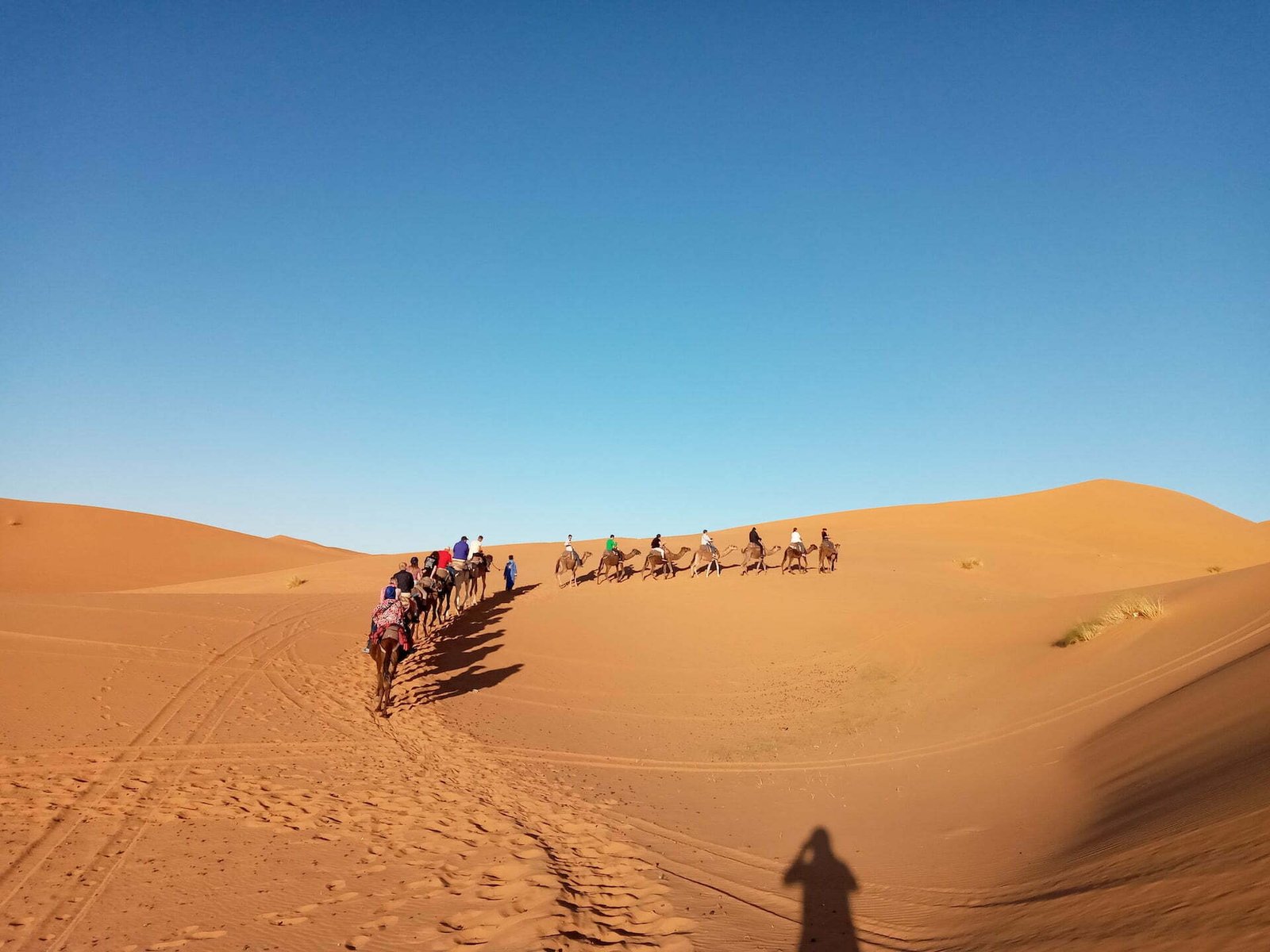 merzouga desert
