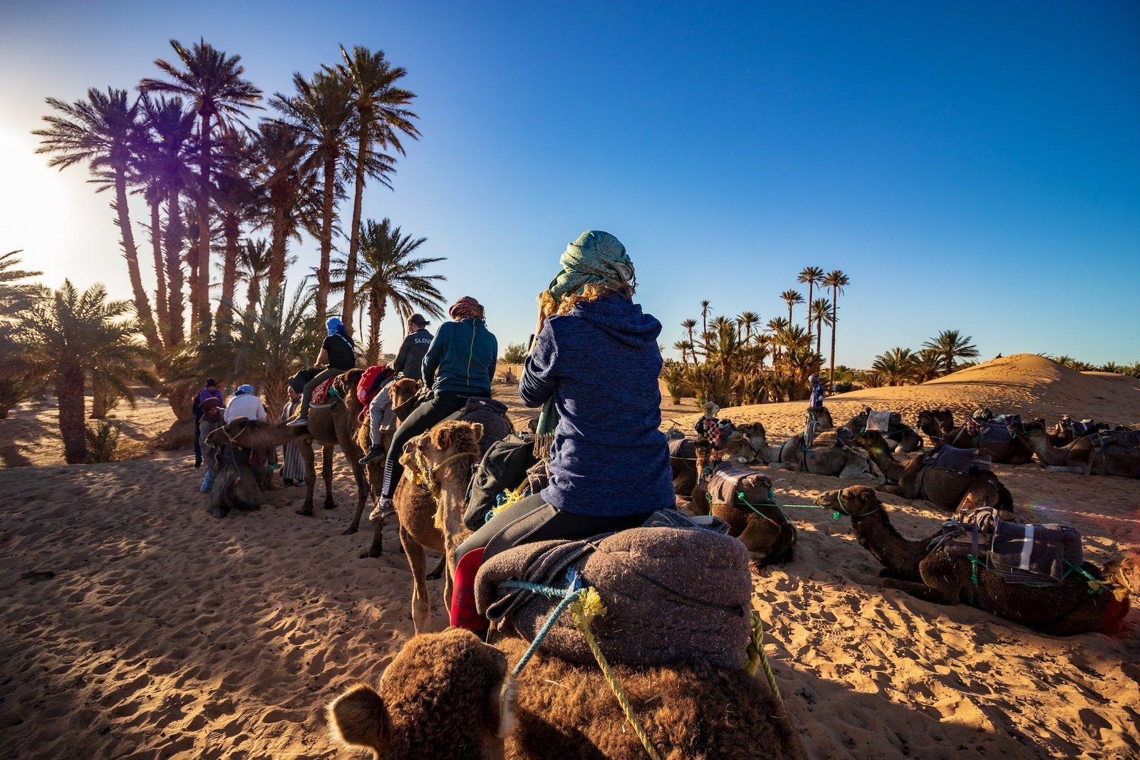 merzouga desert camel rid on sunrise