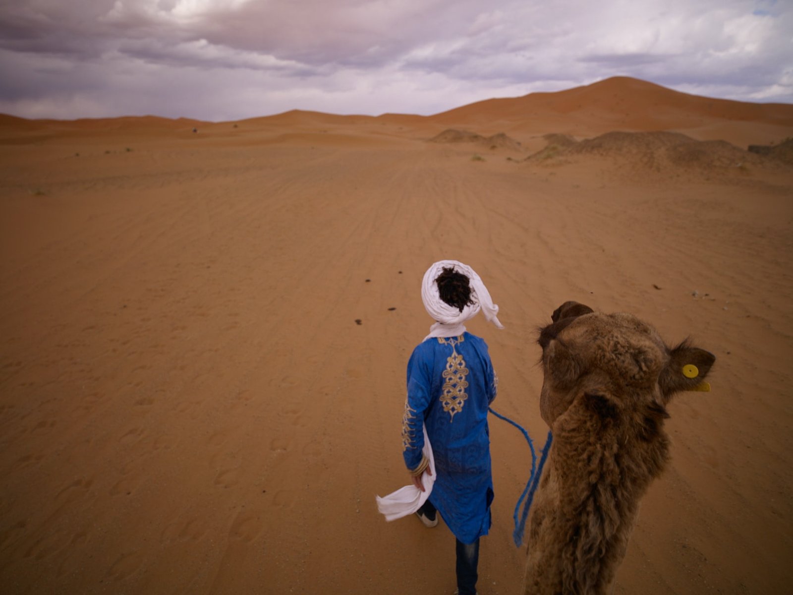 tour from marrakech to merzouga