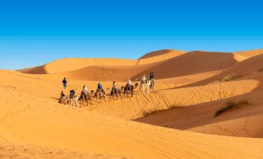 desert merouga