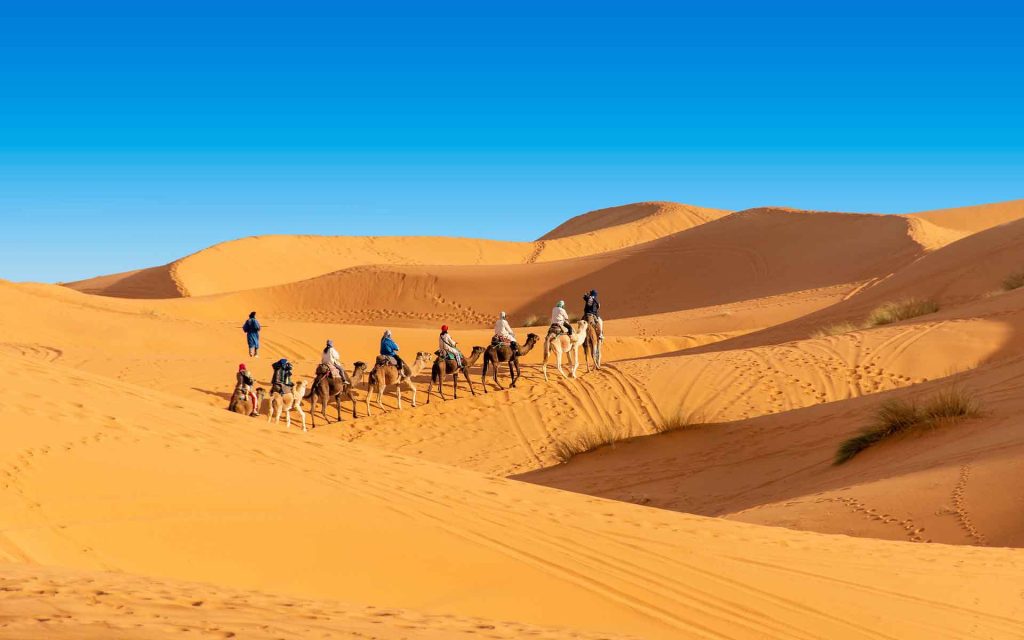 desert merouga